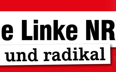 Antrag zum BPT: DIE LINKE sagt „Nein, danke!“ zum Bedingungslosen Grundeinkommen